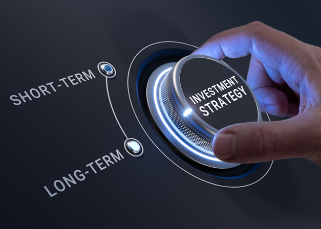 Investment Strategy