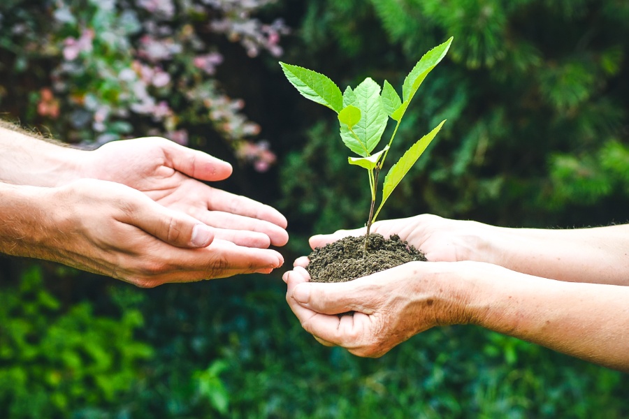 What Is Biblical Stewardship?