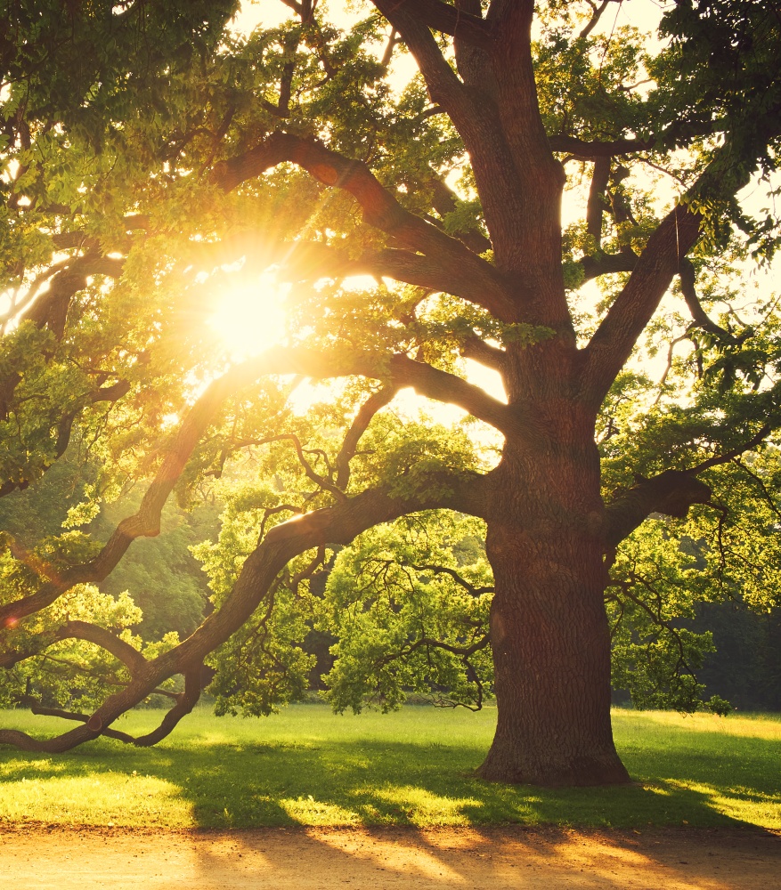 Christian Wealth Management
